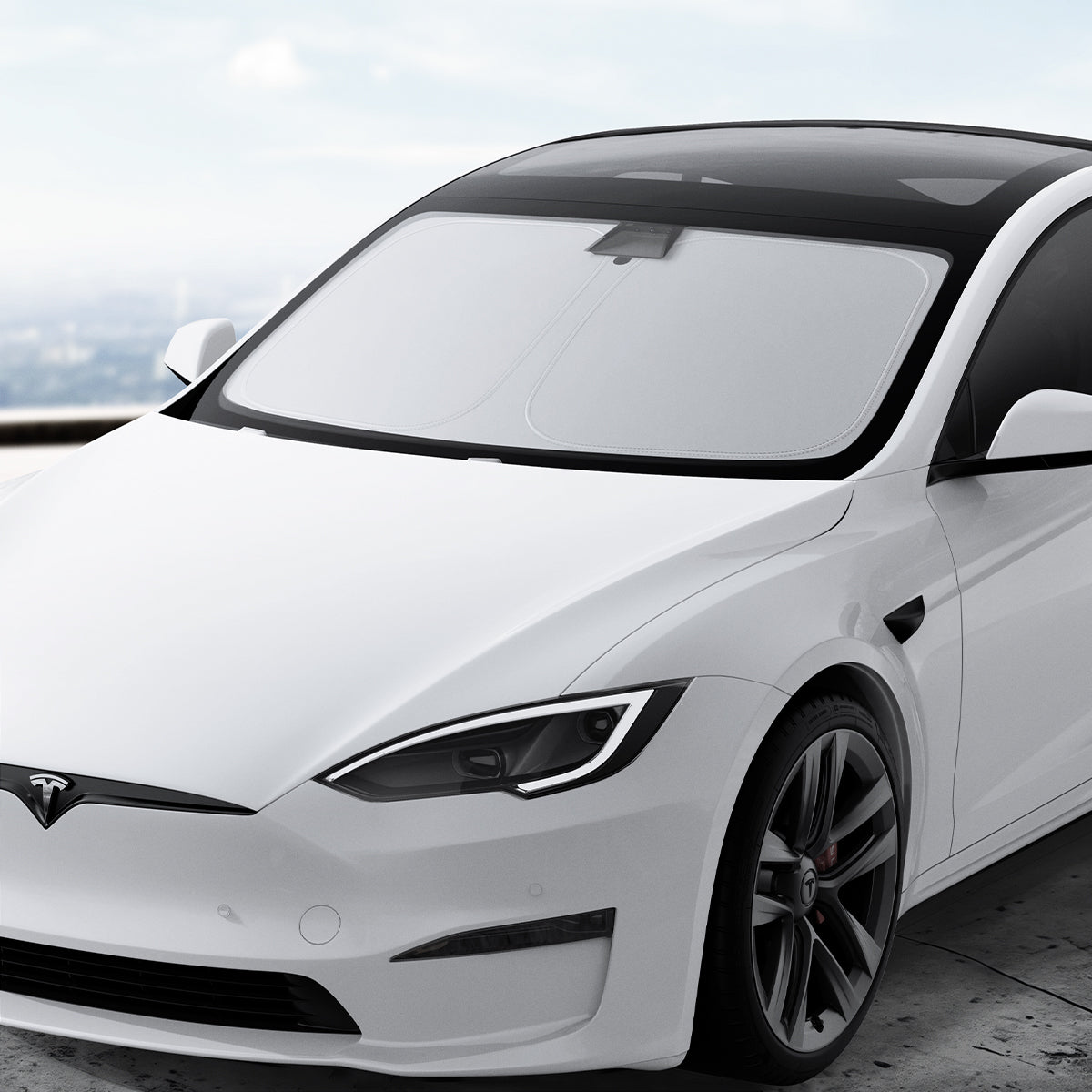ACP09305 - Tesla Series - CryoShade Model S (2022-2024) showing front and side with cryoshade.