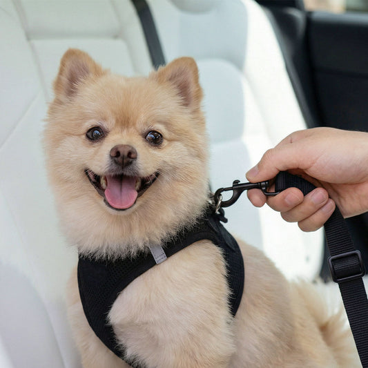 ACP08926 - Pet Car Seatbelt Tether | PS100 in Black showing side with a dog